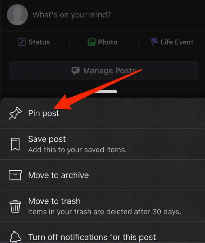 How to Pin a Post on a Facebook Profile image 11 - 11-how-to-pin-a-post-on-facebook-pin-post