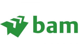 Bam logo