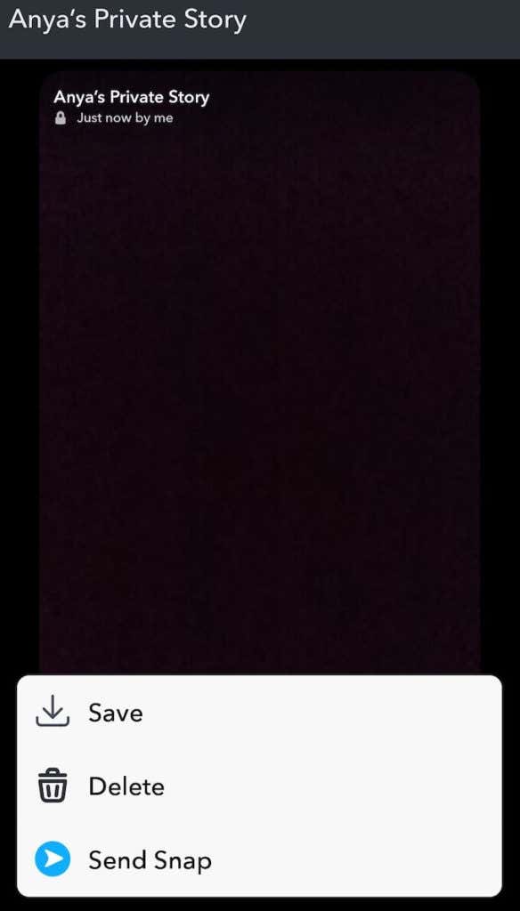 How to Add and Remove Snaps From Your Private Stories image 2 - delete-snaps