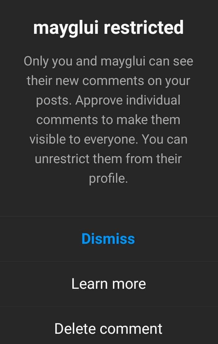 Confirmation screen for a restricted Instagram account