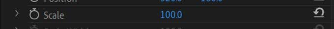 How to Resize Videos in Adobe Premiere Pro image 2 - scale