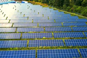 Solar-farm-credit-Exeter-Council-300x200.jpg