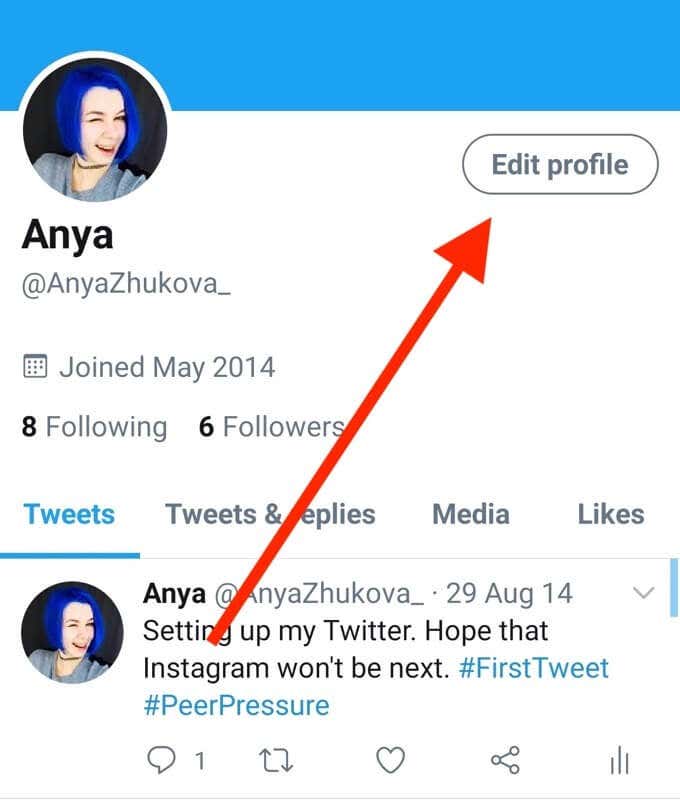 How to Change Your Display Name on Twitter image 5 - twitter-app_edit-profile