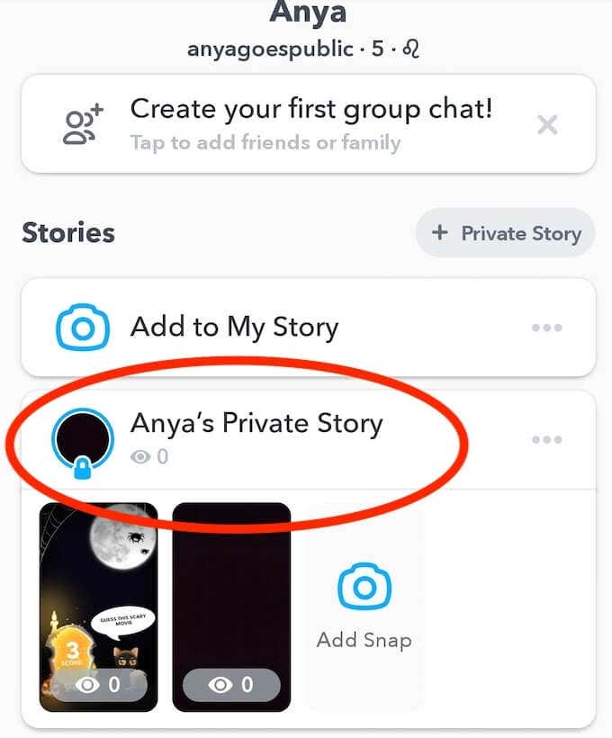 How to Create a Private Snapchat Story image 7 - view-private-story