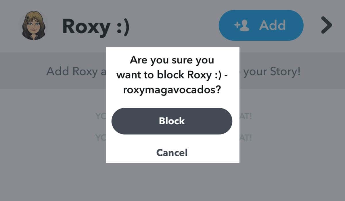 Snapchat block confirmation