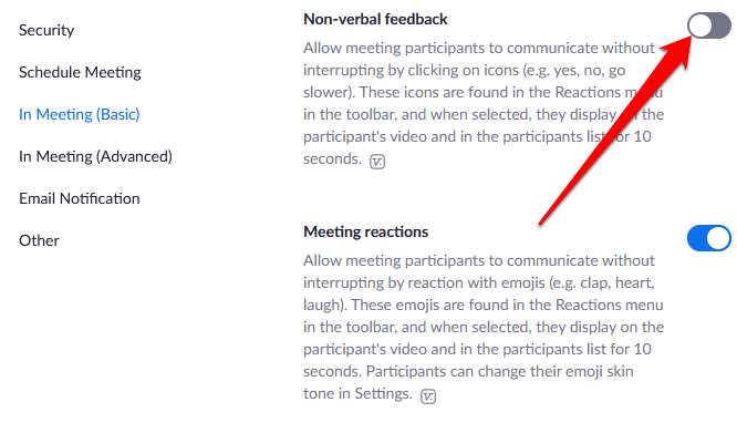 What to Do When You Can’t See the Raise Hand Option in Zoom image 4 - 13-how-to-raise-a-hand-in-a-zoom-meeting-toggle-switch