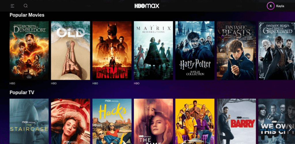 HBO Max image - 6-best-netflix-alternatives-to-stream-great-content-3-compressed