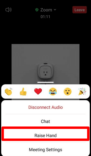 How to Raise a Hand in a Zoom Meeting image 7 - 7-how-to-raise-a-hand-in-a-zoom-meeting-mobile-raise-hand