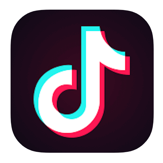 What Is TikTok? image - screenshot_tiktok1