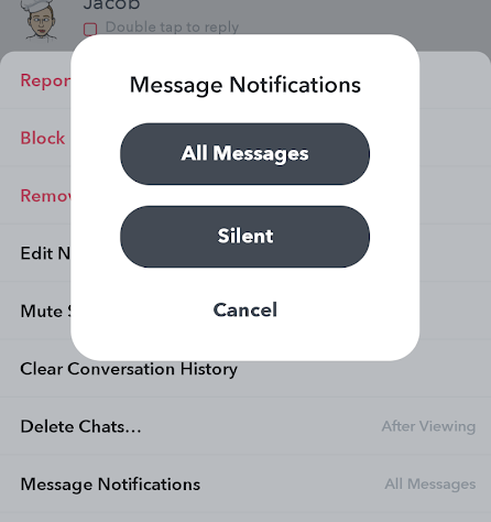 Change Snapchat Settings image 5 - snapchat-message-notifications