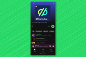 Screenshot showing Spotify's "Offline Backup" playlist